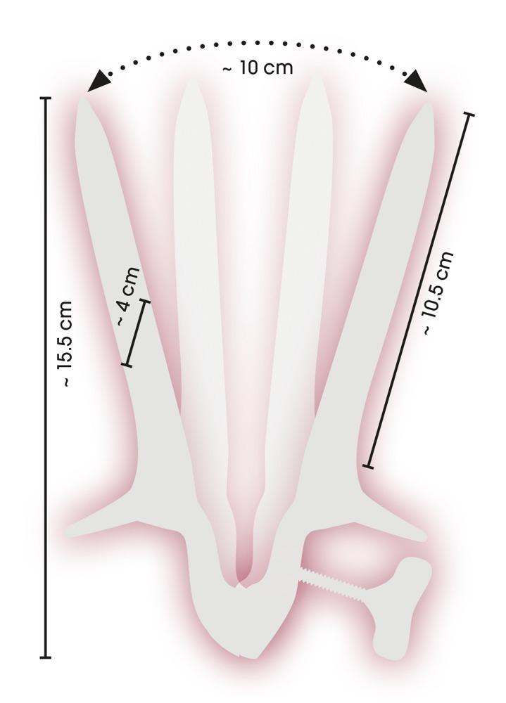 FETISH-Vaginal-Speculum-vaginalni-zrcatko-6 FETISH Vaginal Speculum - vaginální zrcátko