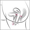 FETISH Vaginal Speculum - vaginální zrcátko