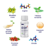 Proerecta Shot 8x60 ml