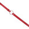 Bad Kitty Harness Set red