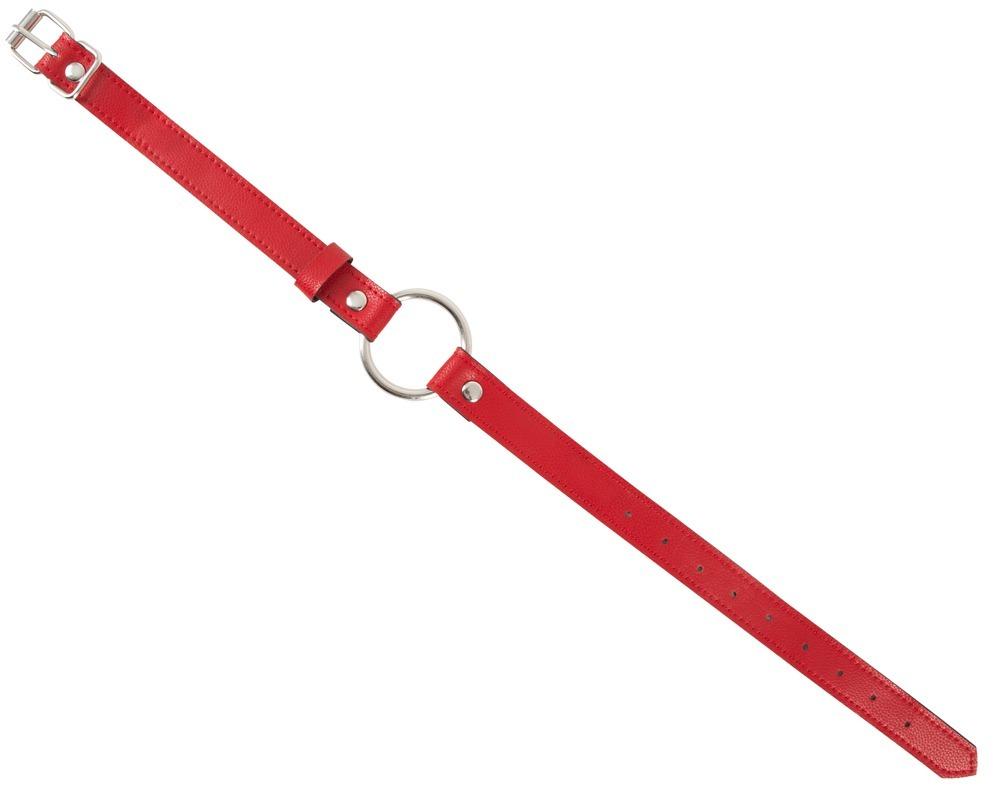 Bad-Kitty-Harness-Set-red-12 Bad Kitty Harness Set red