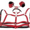 Bad Kitty Harness Set red