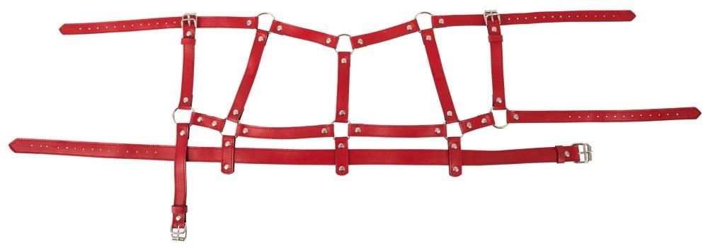 Bad-Kitty-Harness-Set-red-8 Bad Kitty Harness Set red
