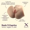 BASIC X Caprice - torzo vagína a anál