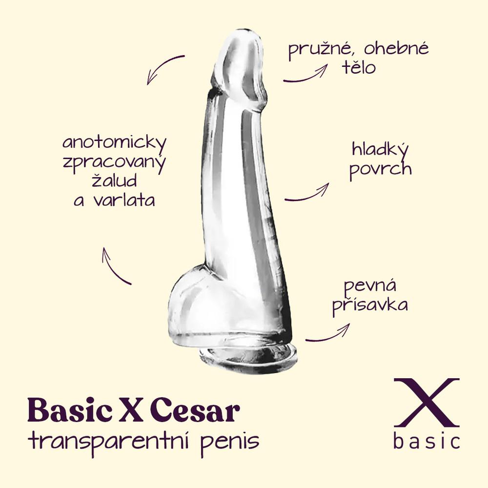 BASIC-X-Cesar-transparentni-penis-s-prisavkou-L-2 BASIC X Cesar transparentní penis s přísavkou L