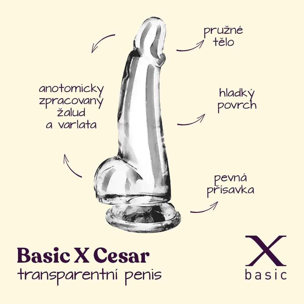 BASIC-X-Cesar-transparentni-penis-s-prisavkou-M-2 BASIC X Cesar transparentní penis s přísavkou M