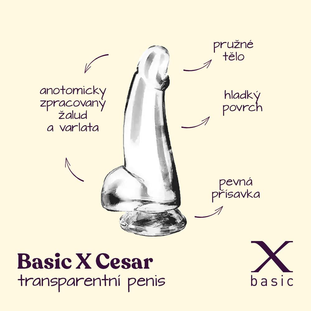 BASIC-X-Cesar-transparentni-penis-s-prisavkou-S-2 BASIC X Cesar transparentní penis s přísavkou S
