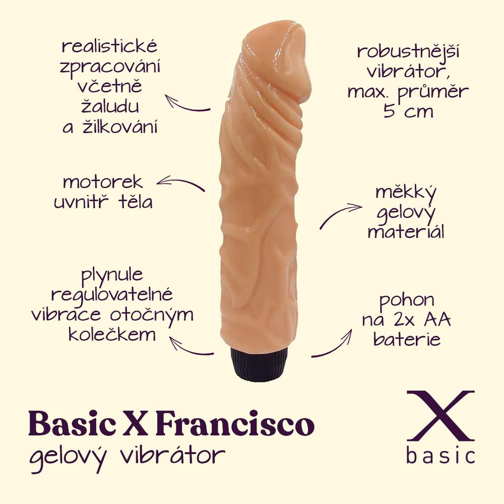 BASIC-X-Francisco-realisticky-gelovy-vibrator-telovy-2 BASIC X Francisco realistický gelový vibrátor tělový