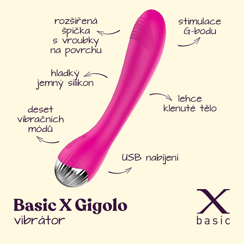 BASIC-X-Gigolo-dobijeci-vibrator-2 BASIC X Gigolo - dobíjecí vibrátor