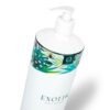 Exotiq Body to Body masážní olej neutral 1 l