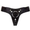 Harness Deluxe Postroj na připínací penis