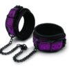 Whipsmart Dragon´s lair pouta na ruce/nohy